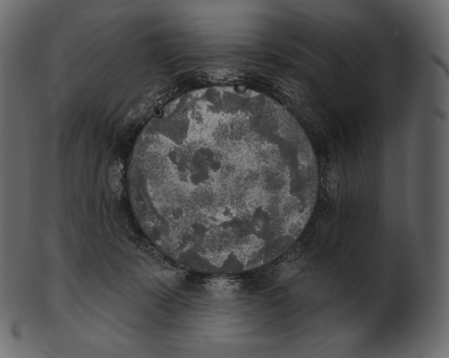 X0000100500319200807031947