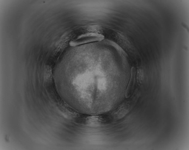 X0000100500320200807031947