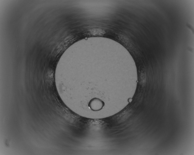 X0000100500321200807031947