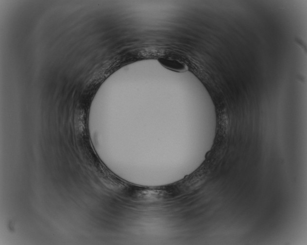 X0000100500323200807031947