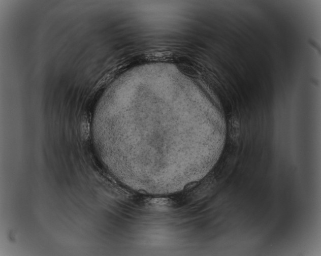 X0000100500324200807031947