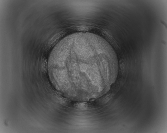 X0000100500325200807031947