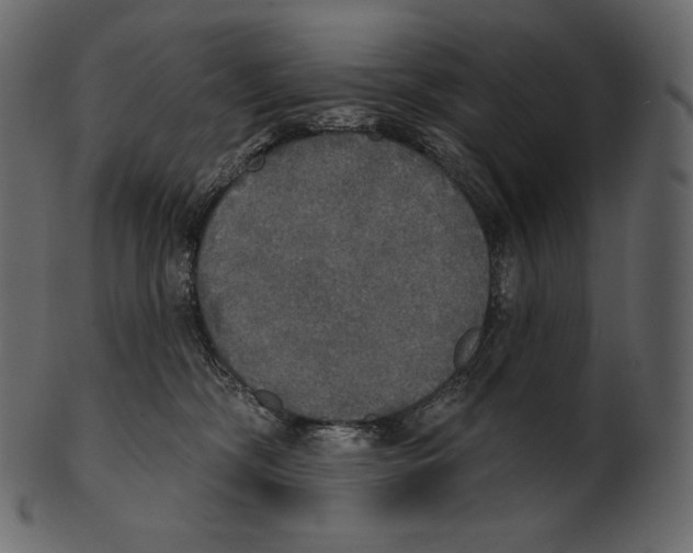 X0000100500326200807031947