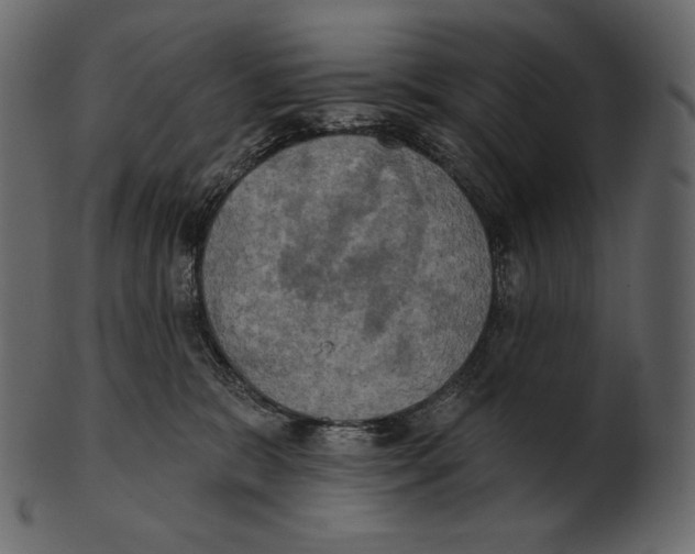 X0000100500327200807031947