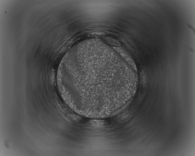 X0000100500328200807031947