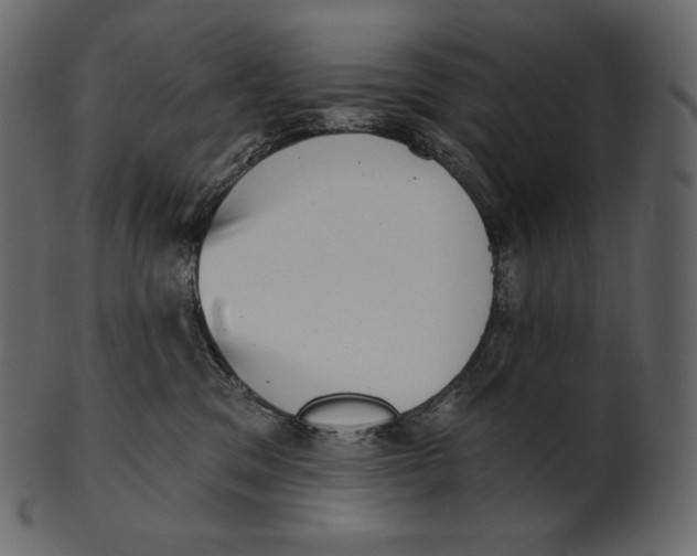 X0000100500329200807031947