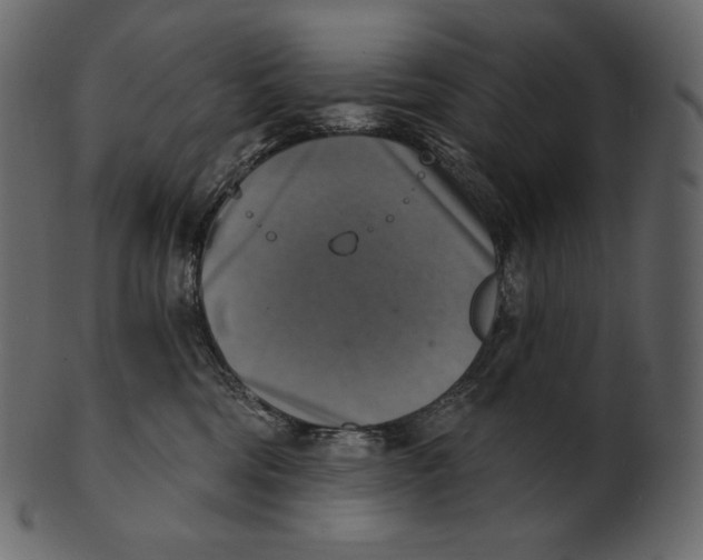 X0000100500330200807031946