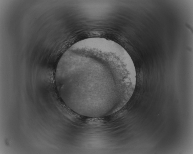 X0000100500331200807031946