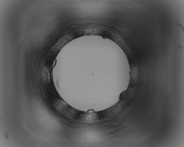 X0000100500333200807031946