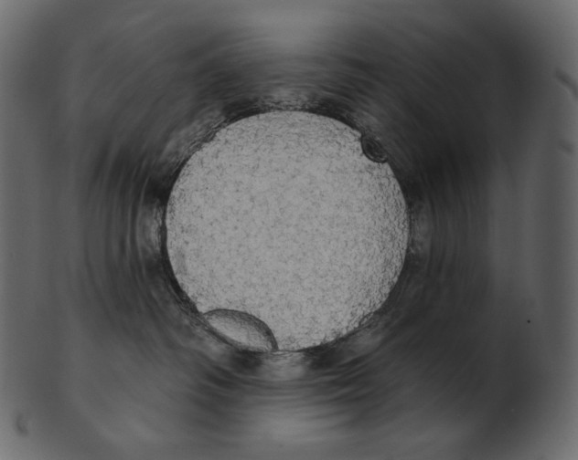 X0000100500334200807031946