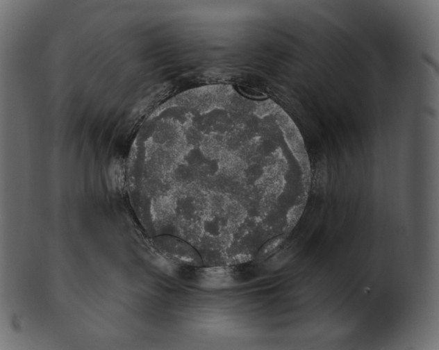 X0000100500335200807031946