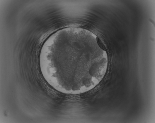 X0000100500337200807031946