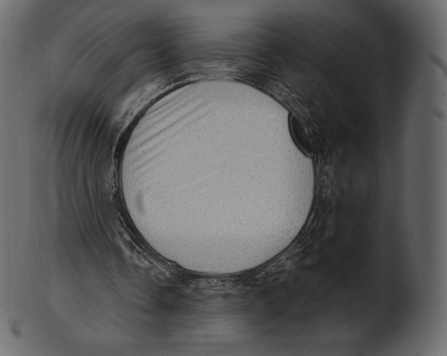 X0000100500338200807031946