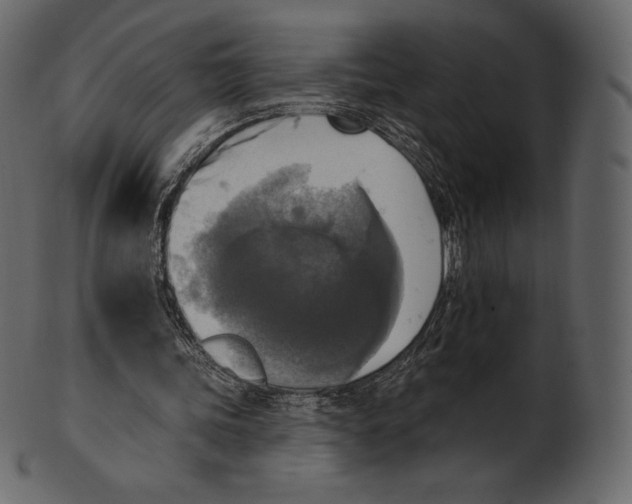 X0000100500339200807031946