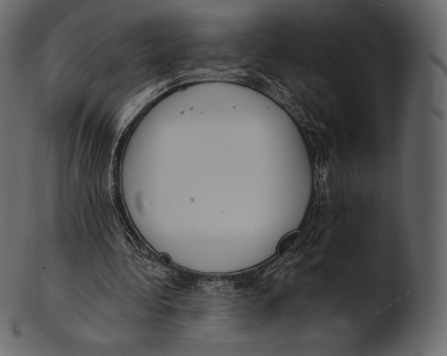 X0000100500340200807031946