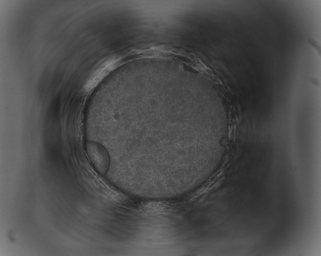 X0000100500341200807031946