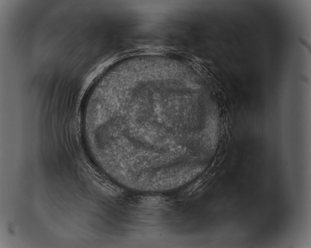 X0000100500342200807031946