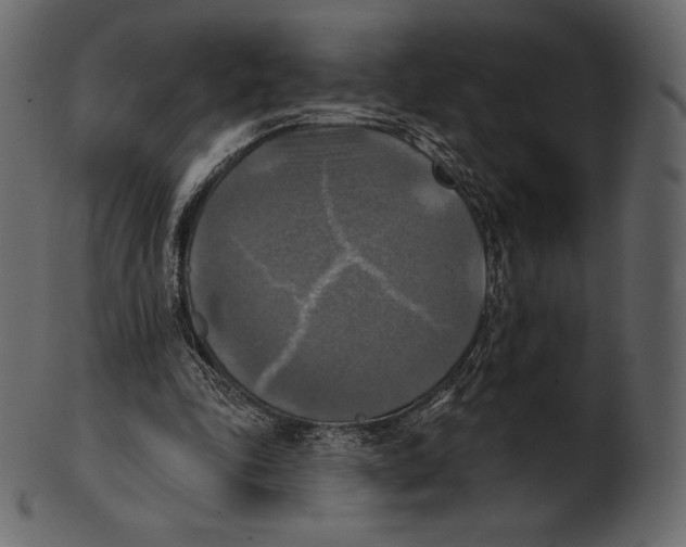 X0000100500343200807031946