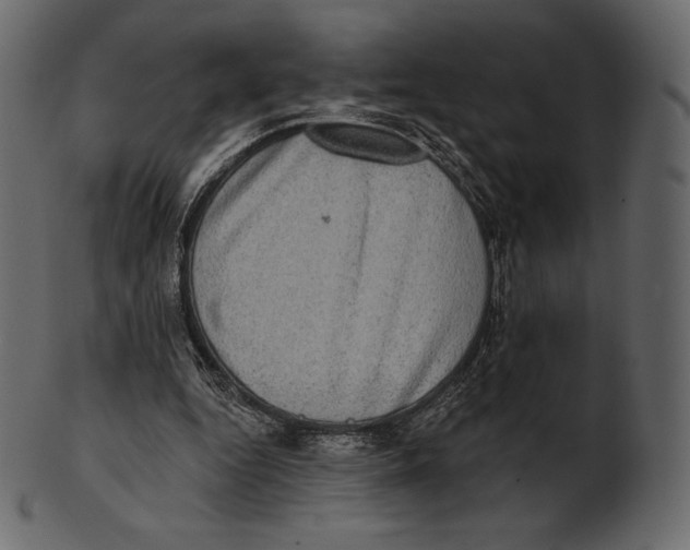 X0000100500344200807031946