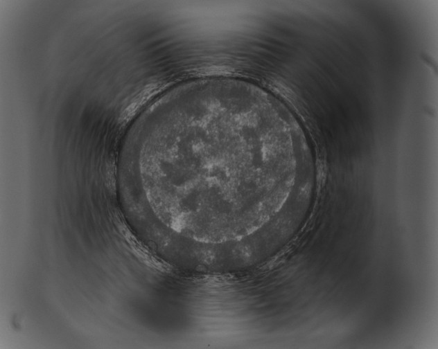 X0000100500345200807031946