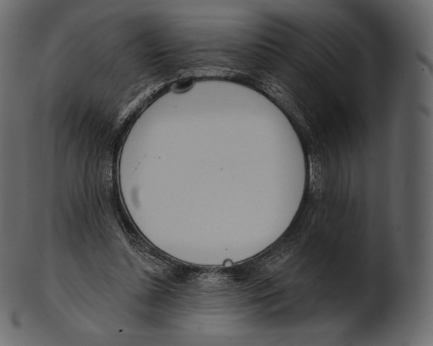 X0000100500348200807031946