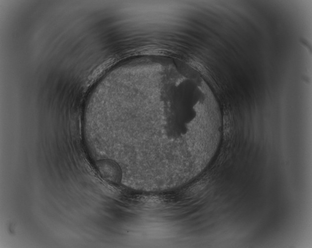 X0000100500349200807031946