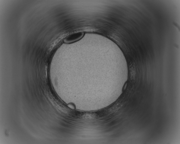 X0000100500350200807031946