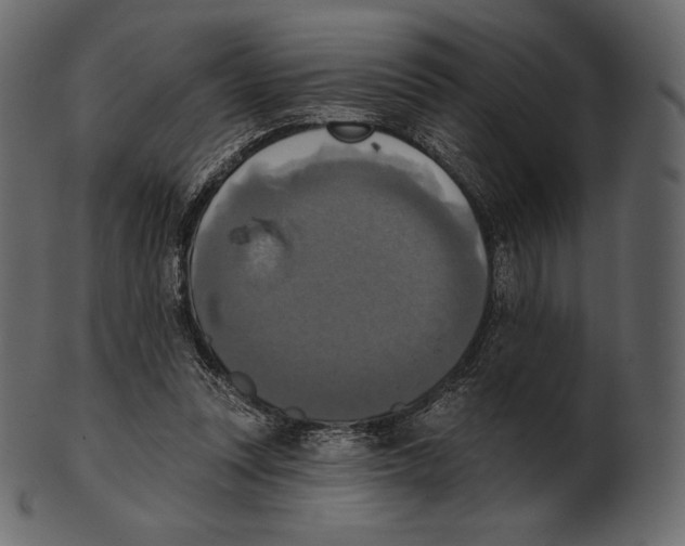 X0000100500351200807031946