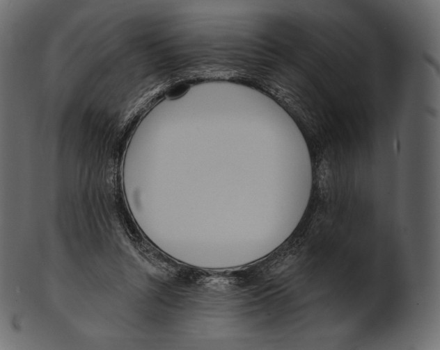 X0000100500352200807031946