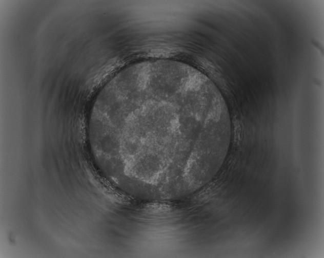 X0000100500354200807031946