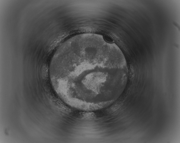 X0000100500355200807031946