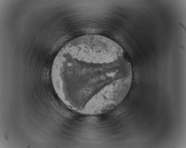 X0000100500357200807031946