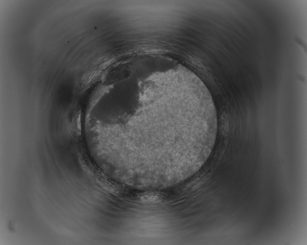 X0000100500358200807031946