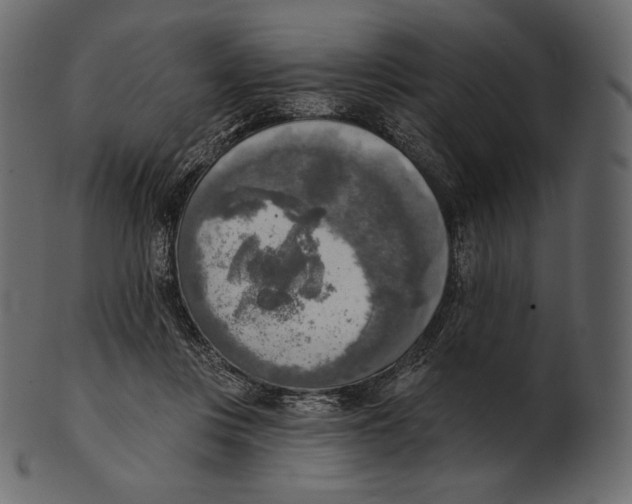 X0000100500359200807031946