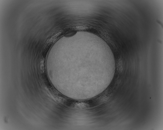 X0000100500360200807031946