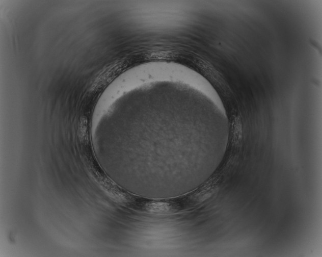 X0000100500361200807031946