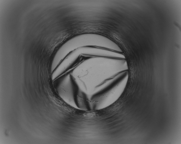 X0000100500362200807031946