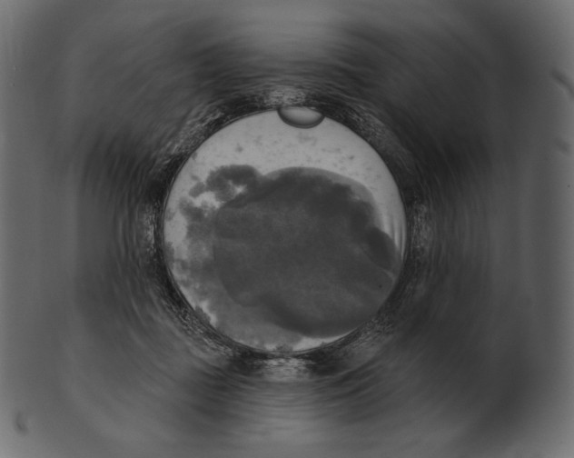 X0000100500363200807031946