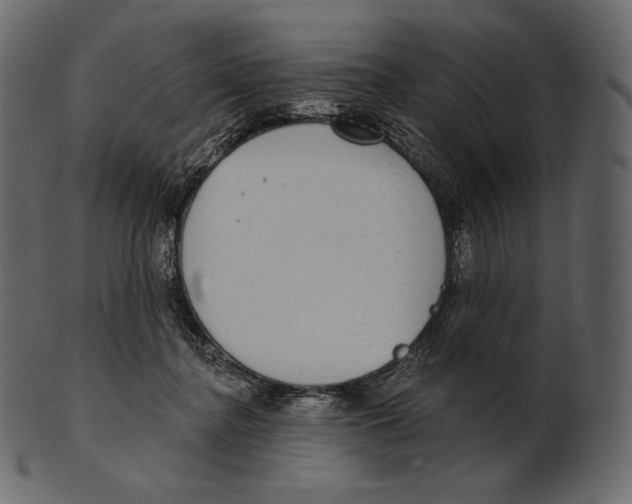 X0000100500364200807031946