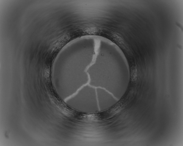 X0000100500365200807031946