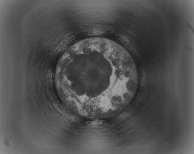 X0000100500366200807031946