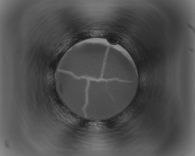 X0000100500367200807031946