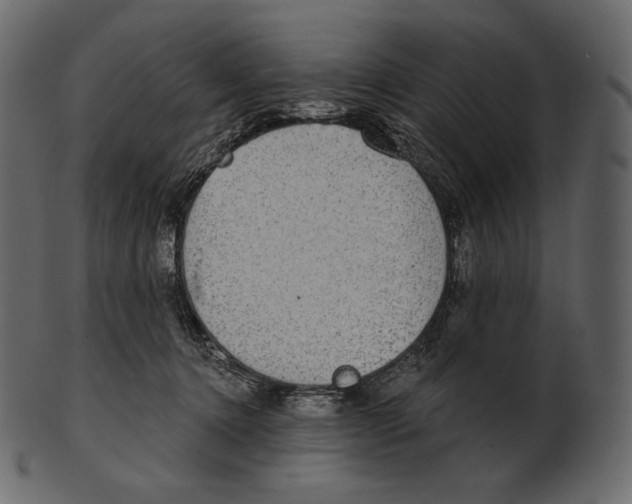 X0000100500368200807031946