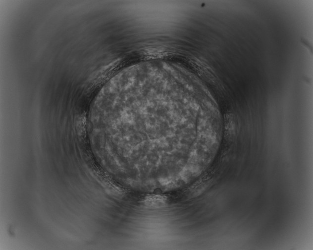 X0000100500369200807031946