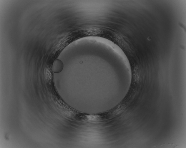 X0000100500371200807031946