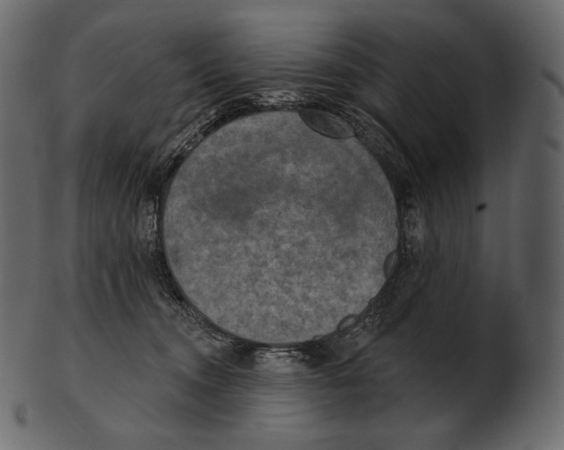 X0000100500372200807031946