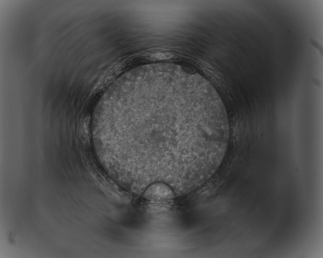 X0000100500373200807031946