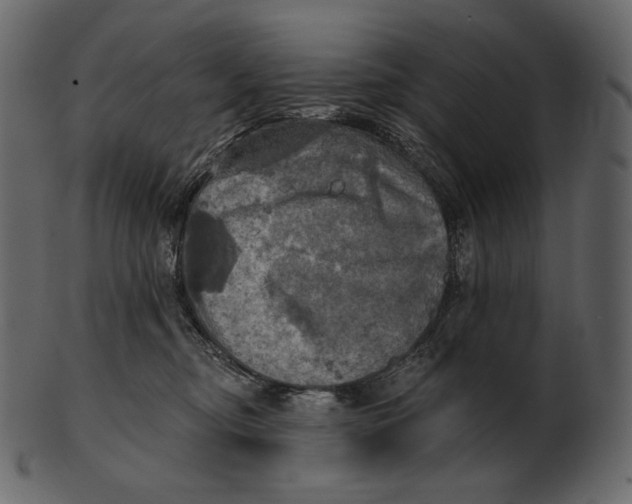 X0000100500374200807031946