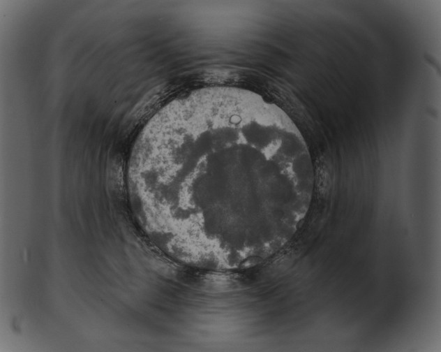 X0000100500375200807031946