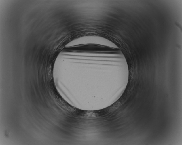 X0000100500376200807031946